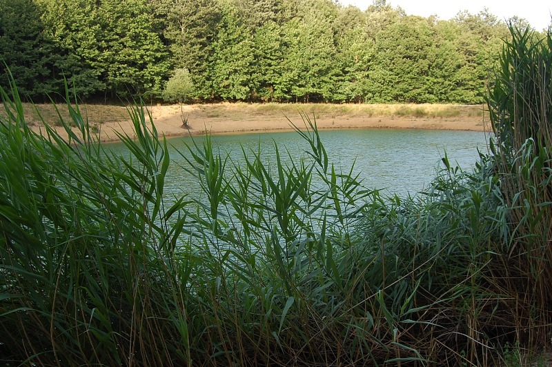 Laghi.........della CALABRIA